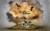 giá trị của huyền không