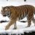 16 điều cấm kỵ xấu nhất khi lập cổng chính